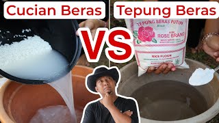 Akhirnya Terbongkar Mitos Air Cucian beras amp Tepung Beras [upl. by Asir]