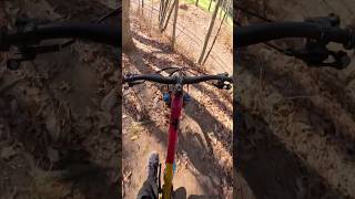 mtbrides at the state park mtblife mtbct gopro adventure explore biketrails [upl. by Olleina]