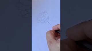 Easy flower drawing flowerdrawing flowerdesign [upl. by Lacee]