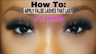 How To Apply False Lashes On A ClientFriendYourself  Last 23 Weeks [upl. by Bresee215]