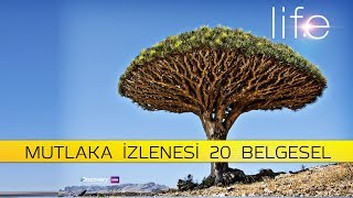 MUTLAKA İZLEMENİZ GEREKEN 20 BELGESEL [upl. by Airrotal67]