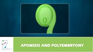 APOMIXIS AND POLYEMBRYONY [upl. by Inafetse]