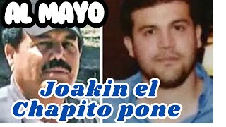 “El Chapito y El Mayo” Se Entregan En el Paso Tx [upl. by Sirtaeb]