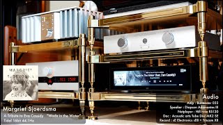 Diapason Adamantes III Acoustic arts tube dac MK2 SEtube  Psvane 12ax7s Art  Margriet Sjoerdsma [upl. by Simonette]