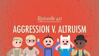 Aggression vs Altruism Crash Course Psychology 40 [upl. by Balkin]