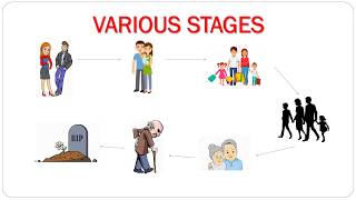 Life Cycle Stages amp Finance  English [upl. by Ocsinarf502]