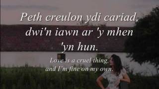 Cariad  Gwyneth Glyn geiriau  lyrics [upl. by Rugen752]