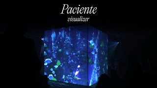 Juliana  Paciente Visualizer [upl. by Sinnoda]