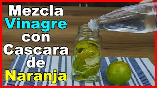 Mezcla Vinagre con Cáscaras de Naranja y no querrás usar otra receta diferente [upl. by Farman837]