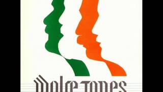 The Man From Mullingar  The Wolfe Tones [upl. by Drofub]