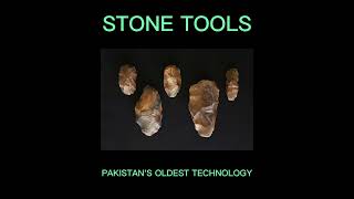 Stone ToolsAcheulean CultureStone Age HandAxeAcheulean HandAxe Pakistan [upl. by Guido]