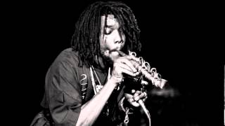 Peter Tosh Live at My Fathers Place NY Early Set 1978 Full Audio [upl. by Dopp]