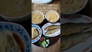 911昼食 節約 自炊 チャンネル登録よろしくお願いします 料理 [upl. by Toshiko]