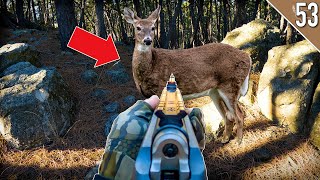 STALKING DEER with a Muzzleloader Late Season Deer Hunting [upl. by Obie]