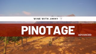 Grape Varieties  Pinotage Advanced Version ideal for WSET Level 3 and Level 4 WSET Diploma [upl. by Nrubloc556]