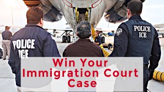 Immigration Court  How to Win Your Case [upl. by Anatnom]