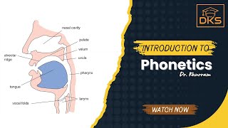 Introduction to Phonetics from George Yule Chapter 3 [upl. by Whitten]