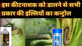 इल्लियों के लिए बेस्ट दवाई ।indoxacarb 145sc ।kingdoxa । indoxacarb use।किंगकार्व कीटनाशक । [upl. by Alcott372]