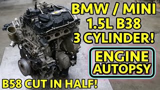 MYSTERY FAILURE 3Cylinder BMW  Mini Cooper B38 15L Engine Teardown [upl. by Imat]