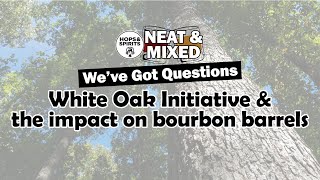 Weve Got Questions White Oak Initiative [upl. by Nogas]