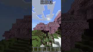 Mcpe seed the views in my YT [upl. by Ibmat]