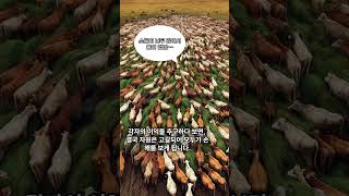 사회 심리학  공유지의 비극Tragedy of Commons [upl. by Aihsat]