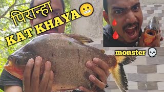 piranha fish attack in real lifepiranha fish videopiranha fish eating meatfish vlog 😬 [upl. by Nylaras]