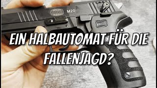 Mauser M20 22 LR HV Fangschuss Waffe für die Fallenjagd Kleinkaliber [upl. by Eidoc778]