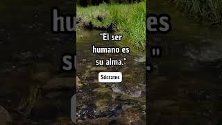 Frase de grandes pensadores citascelebres filosofía reflexionesvideos frasefilosofica [upl. by Wilterdink836]