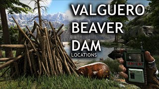 Beaver Dam Locations on Valguero Map Ark Survival Evolved Castoroides [upl. by Kared]