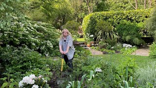 White and Bog Garden Planting Bluebell woodland tour [upl. by Damicke]