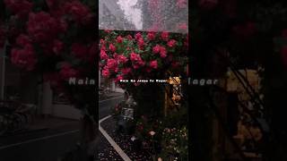 This Lyrics video clip ✨😍👀song viral love musiclyrics lyrics lofi sedsong [upl. by Melamie]