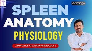 Spleen Malayalam Spleen Anatomy Physiology Malayalam lymphatic system Malayalam [upl. by Nessaj]