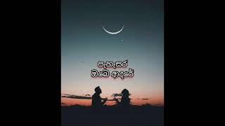 Mandaram wahi poda  මන්දාරම් වැහි පොද Lyrics [upl. by Memberg]