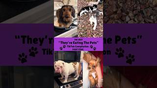 The Best “They’re Eating The Pets” TikToks Compilation💜💙🩷 PART FIVE [upl. by Ylicic139]