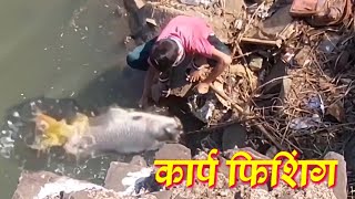 cyprinus carp fishing शिफरन मासे पकडणे tigerfishing [upl. by Gilberto]