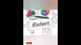 Class 12th Economics Project on Government Budget 202425 CBSE [upl. by Papagena139]