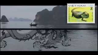 Ha Long EP 08 folles histoires du Monde Documentaire Découverte Histoire [upl. by Hermione593]