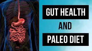 How the Paleo Diet Can Transform Your Digestive System [upl. by Asilegna983]