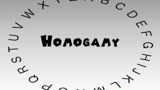 How to Say or Pronounce Homogamy [upl. by Pudendas]