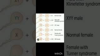 X And Y Chromosome neet2025 humanbiology neetaspirant chromosome xchromosome [upl. by Av]