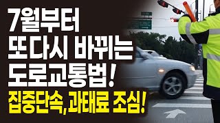 7월부터 바뀌는 과태료 부과되는 교통법규 횡단보도 우회전 어린이보호구역 회전교차로 등 교통위반 집중단속 모르면 벌금 냅니다 [upl. by Keraj996]