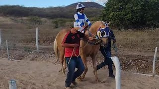 corrida de cavalos baixio cearaxerife vs melado [upl. by Gavan]