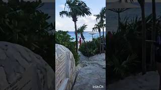 quotVive Xcaret Arte Tu Escape Soñadoquot [upl. by Ybanrab]