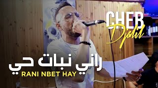 Cheb Djalil 2024 Rani Nbet Hay  راني نبات حي © ft Bidjou [upl. by Hafital]