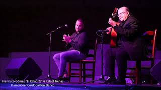 Francisco Gómez Festival Flamenco Villa de Santa Eufemia Córdoba [upl. by Werdma361]