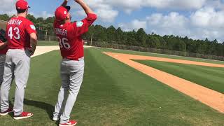 Video Cardinals make catches in windy conditions [upl. by Lynde277]