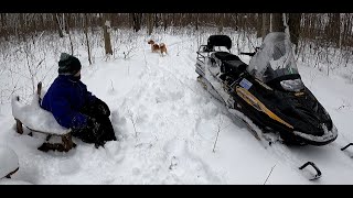 Ski Doo Skandic Breaking Bush Trail [upl. by Ijies]