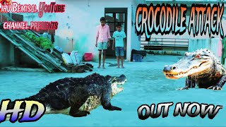 मगरमच्छ  crocodile attack short filmcrocodilescrocodilevideocrocodiles [upl. by Sirad]