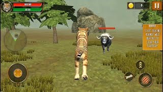 Tiger Family Sim Jungle Attack  Clan of Tigers Jungle Survival  Android GamePlay [upl. by Notsuj]